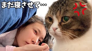 何度でも二度寝するママVS絶対に起こす猫