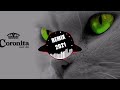 Bolondos Coronita Minimal Techno Music Mix 2021 (MIXED BY: REMIX RECORDS)