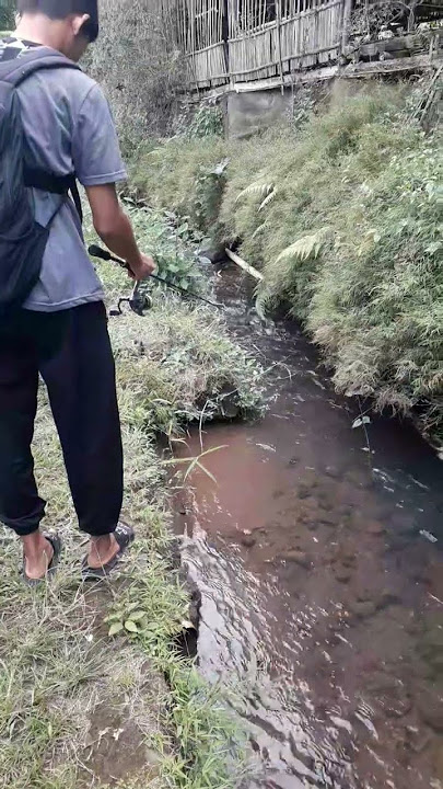 Terus Bersabar Sampai Dapat Target Yang Di Cari #shorts