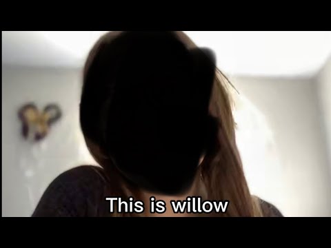 Willow face reveal!! - YouTube