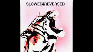 Famous She swallowed burning coals - El Tigr3 (slowed and reversed) Wealth