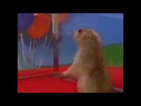 Dramatic Chipmunk: Cracker Jacks