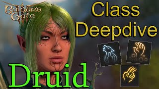 Ultimate Druid Class Guide | Baldur