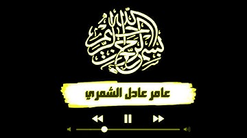 عامر عادل (سورة هود)
