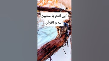 #تلاوات_نادرة #قرآن #تلاوة_خاشعة #قران #قران_كريم #أجمل_تلاوة #تلاوة_مميزة #دعمكم #اكسبلور #الظروف