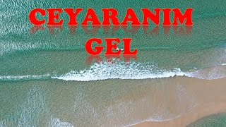 CEYRANIM GEL - Agabek Musaev (AHISKA MÜZIK)(Ахыска) Resimi