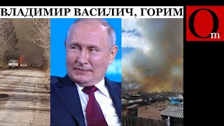 Пока Си Цзиньпин в турне по Европе, в Сибири жгут леса, чтобы скрыть их вырубку для Китая