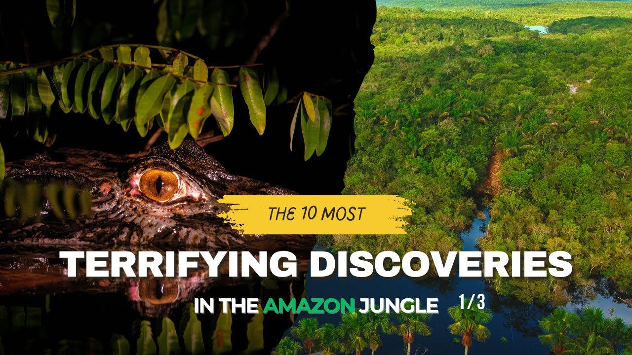 The 10 Most Terrifying Discoveries In The Amazon Jungle Part 1/3 | Earth Uncovered