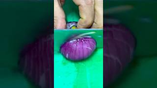 Onion chopping #onion #chopping #reels #cuttingskills #viral