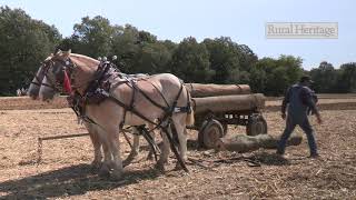 Loading Logs with a Draft Horse Team