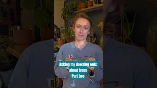 Asking my dowsing rods about trees part two