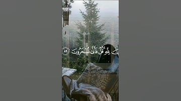 #القرآن_الكريم #صلوا_على_النبي #استغفر_الله #تلاوات #راحة_نفسية #سبحان_الله #رمضان #الحمدلله