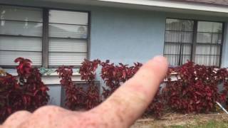 How to Price small little window job and talking about small jobs