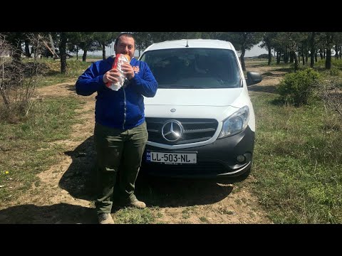 Mercedes-Benz Citan 1.5 დიზელი (108 CDI) -  ეკონომიური კომერციული დანიშნულების პურის მანქანა