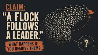Information No Leader. Three Rules. The Whole Flock Moves News