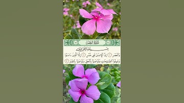 سورة العصر الشيخ ياسر الدوسري #قران_كريم