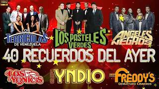 ÁNGELES NEGROS, TERRÍCOLAS, YNDIO, YONICS, SOLITARIOS, FREDDY'S 🙏 40 Recuerdos del Ayer