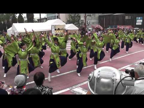 天狗ぅ  2015安濃津よさこい　10/10（土）　フェニックス会場
