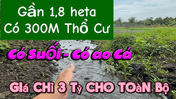 CỰC HIẾM! ĐẤT 1,7HA CÓ 300M THỔ CƯ – GIÁ CHỈ 3 TỶ – ĐƯỜNG Ô TÔ VÀO TẬN NƠI