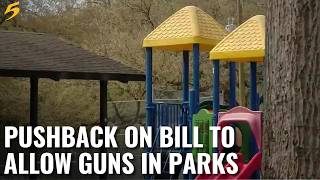Memphians push back against TN bill that would allow guns in parks and recreational spaces