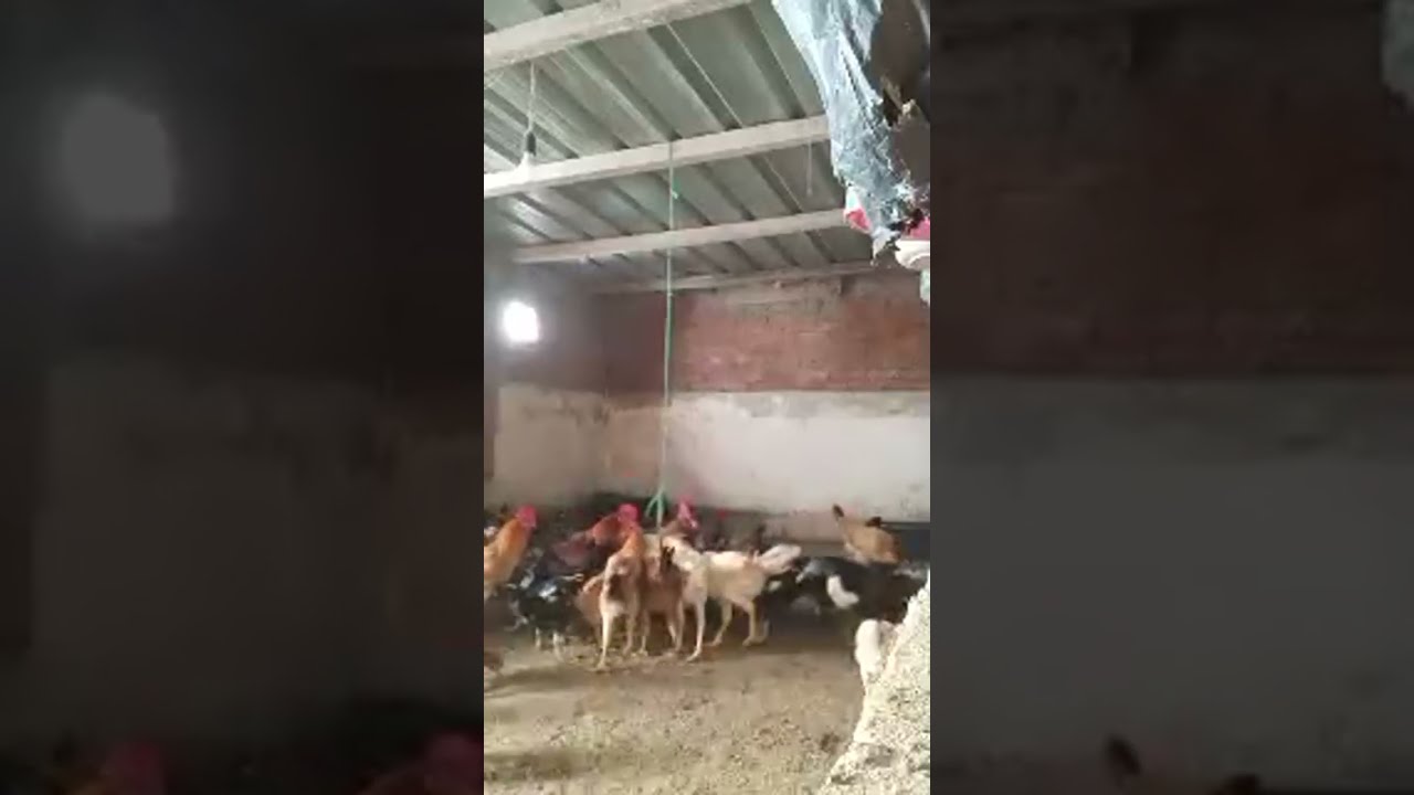 كان لازم اروح لهم حتي لو راجعة 😴