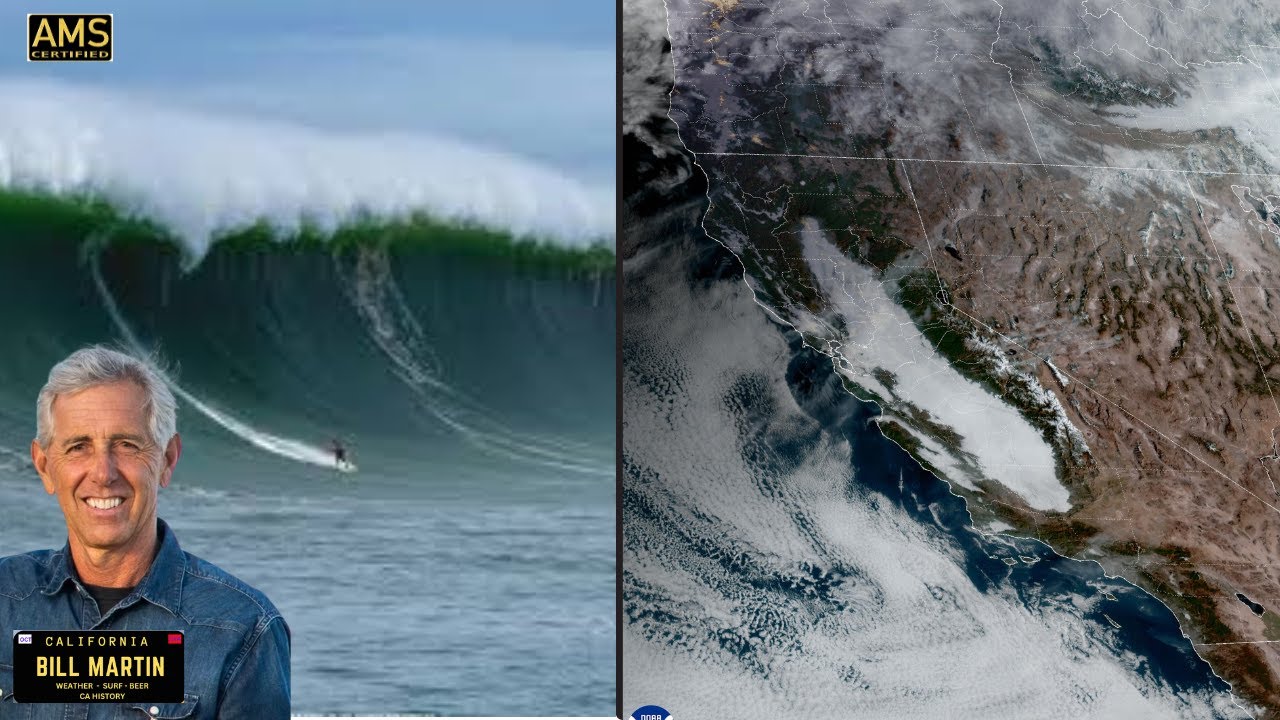 Visiting Sarasota and Venice, Florida: a Gorgeous Weekend Trip, image size:1280x720