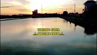 Story wa sujiwo tejo 30detik