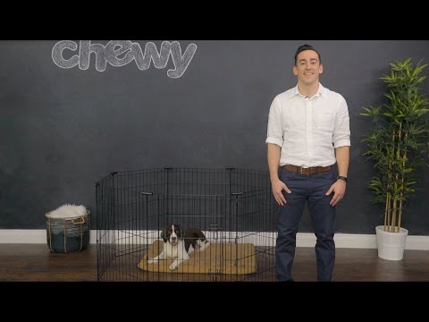 frisco exercise plastic pen