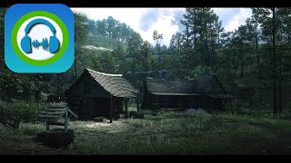 ASMR Relaxing Gentle Rain Sounds, RED DEAD REDEMPTION 2 Ambience for Relaxing, Study, Sleeping screenshot 5