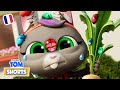  lattaque du jardin mchants petits insectes 2   talking tom shorts s2 pisode 36