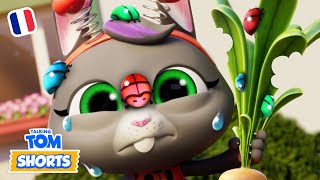 🥕 L&#39;attaque du jardin (Méchants petits insectes 2) 🐞 - Talking Tom Shorts (S2 Épisode 36)