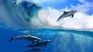 AZ ÉLET MANTRÁI ... OM Shanti 432 Hz ॐ ... ( Önprogramozás )