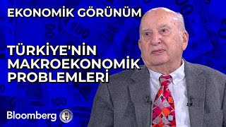 Ekonomik Görünüm  Türkiye'nin Makroekonomik Problemleri | 4 Nisan 2024