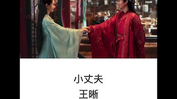 🎶王晰：小丈夫【電視劇：贅婿插曲】