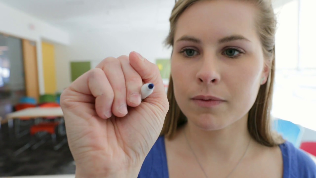 Transform Your Life at Westfield State University