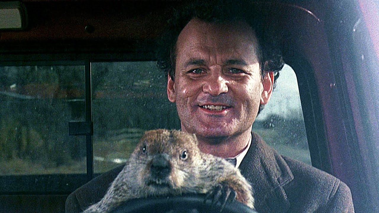 ������������