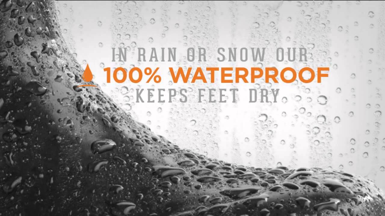 Bogs: The North Hampton