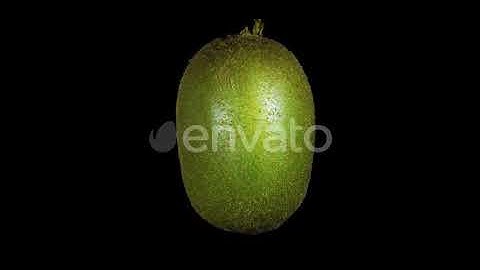 Rotating Isolated Kiwi | Motion Graphics - Envato elements
