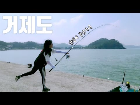거제도 반찬거리 계속 올라와요~ 전갱이 풍년  fishing <strong>aing2</strong> [여자 낚시꾼 아잉2]