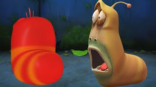 LARVA | ADDIO AMICO | Cartoni per bambini | WildBrain
