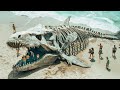 Non Troverai uno Scheletro di Megalodonte, Ecco il perchÃ©