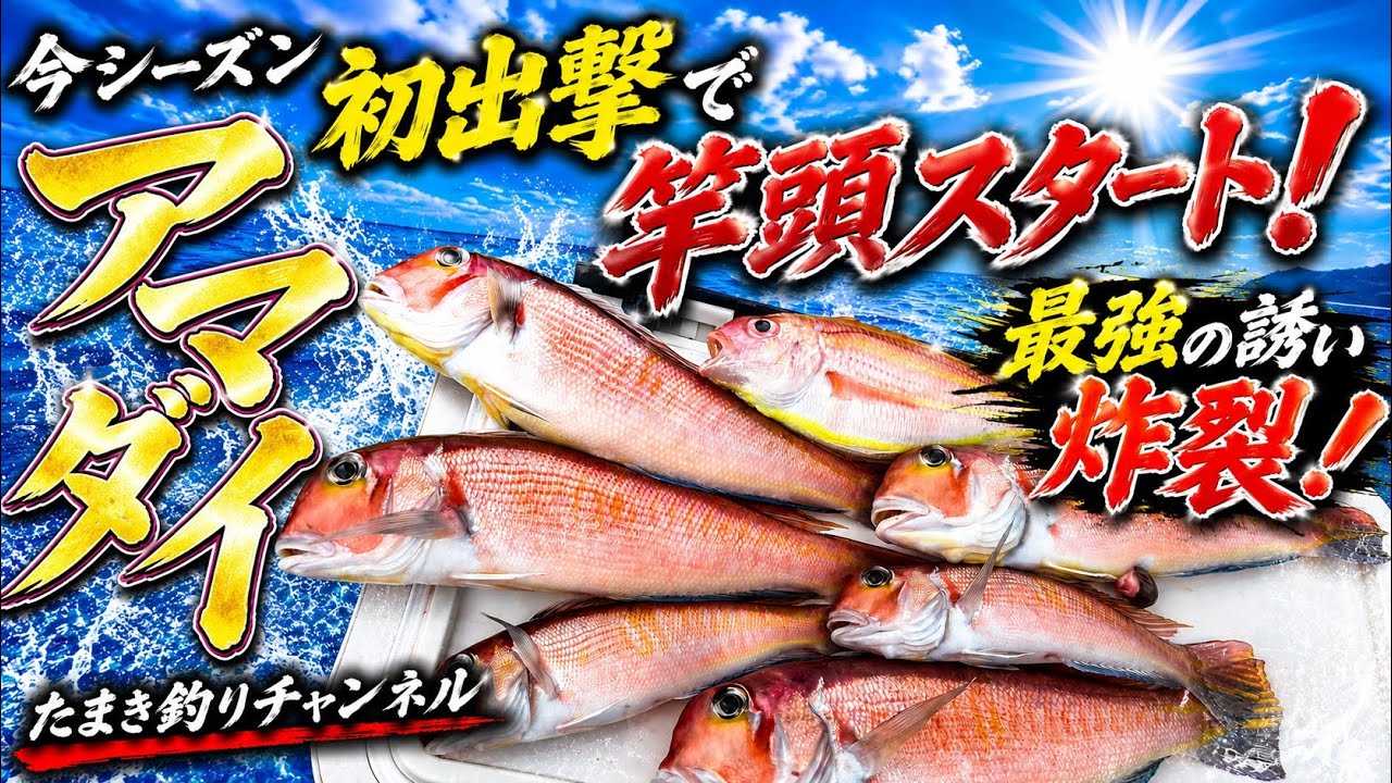 9/2026】Sagami Bay Tilefish! The season kicks off with the