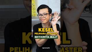 Hamster itu emang suka mati konyol atau gmna dah..🙃 #dormice   #SahabatKecilGamareptile