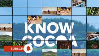 The Unsung Heroes Behind Nigeria’s Cocoa Industry | Inside the Real Workforce