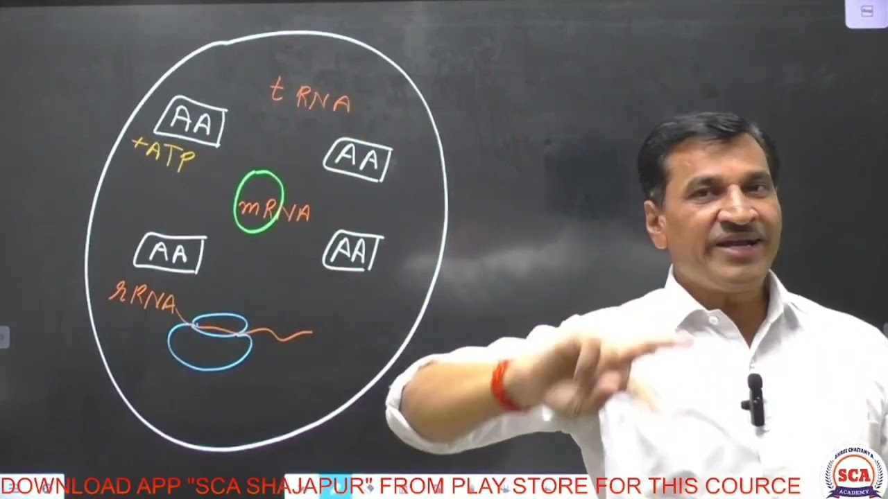 Translation (अनुवादन)