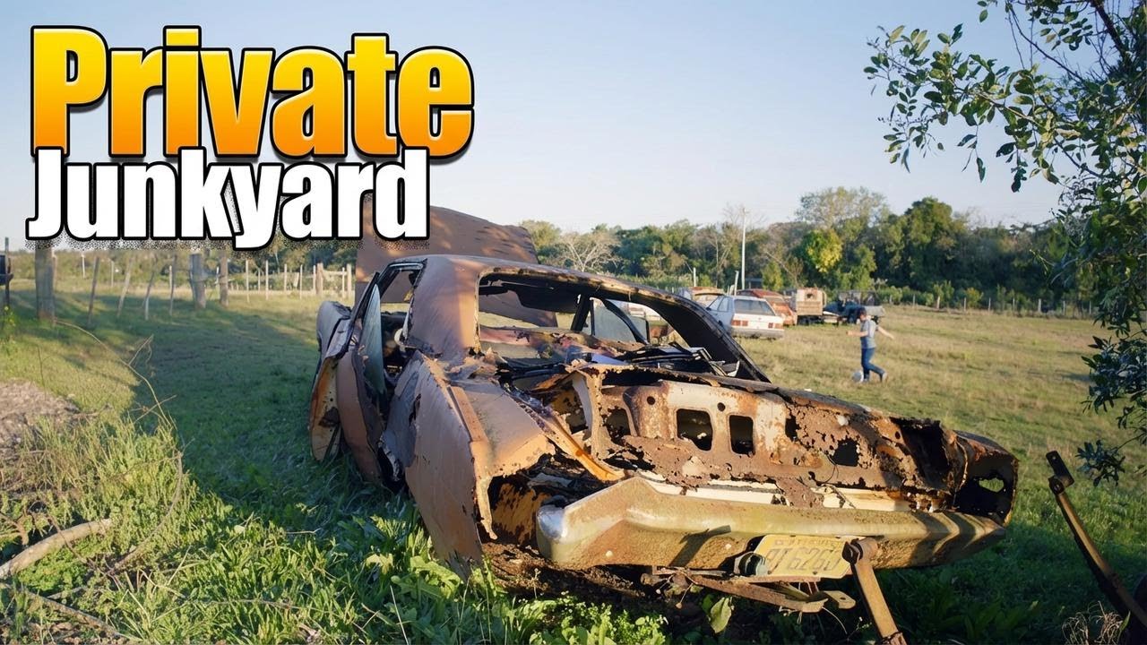 Classic Car Paradise!