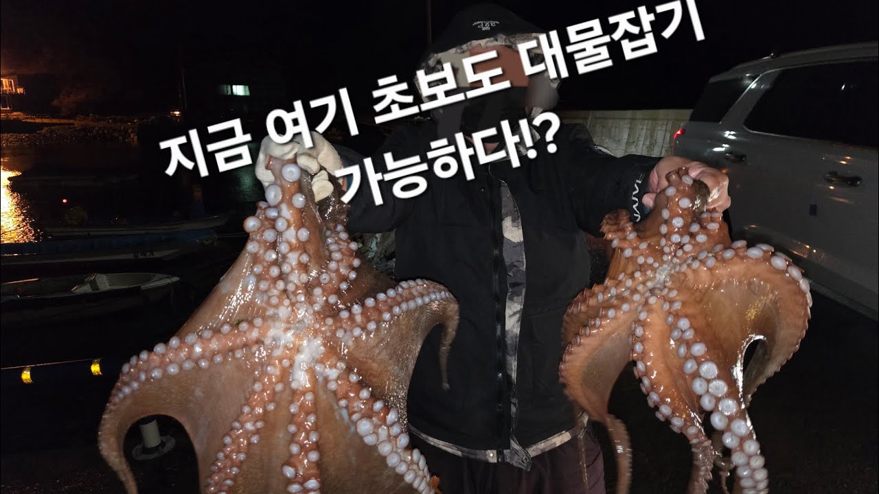 문어해루질 돼지문어 천국 피문어 잡을때 다른지역으로 탐사 가보기! 엄청큰 돼지문어!#해루질 #해루질포인트 #문어해루질