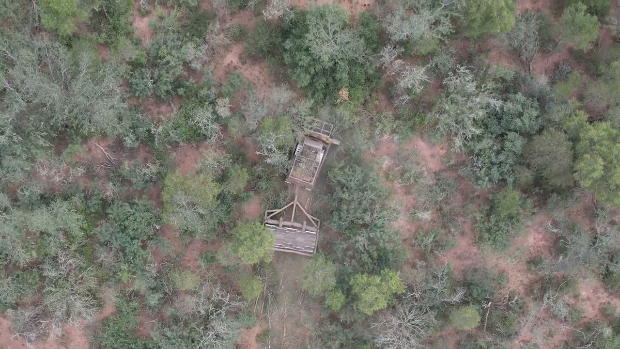 Topadora de Greenpeace avanza en bosques chaqueños