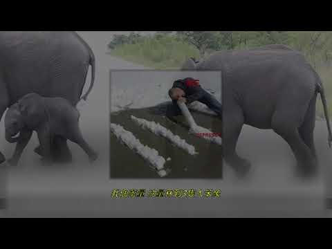 Lippy Ghostie 鬼舐口 - 啪筒安眠藥 (prod. Bliv Beats)