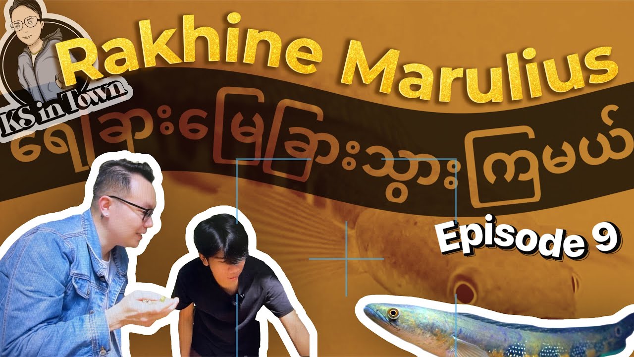 EP9: Rakhine Marulius (Myanmar Local Pride Channa)